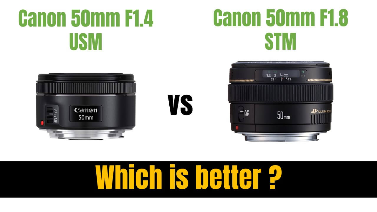 Canon 50mm 1.4 vs 1.8