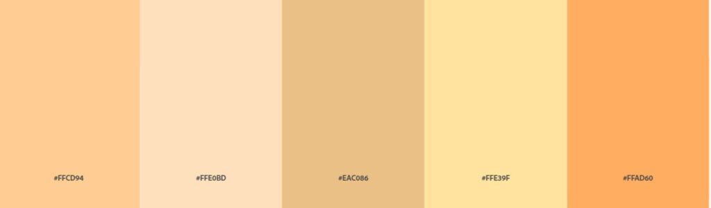 Skin Color Code For All Skin Tone Color Types 2024 