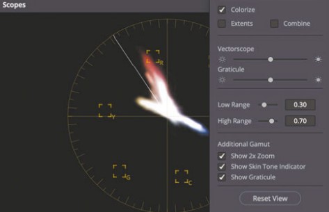 skin color indicator