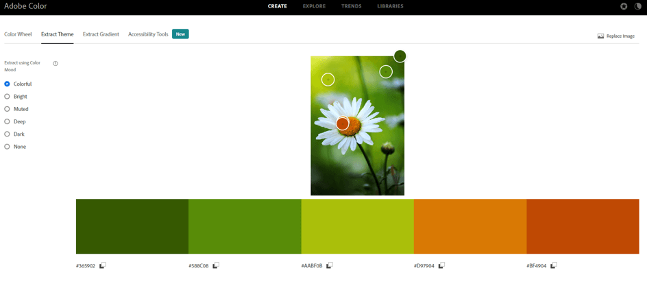 Color adobe extract theme